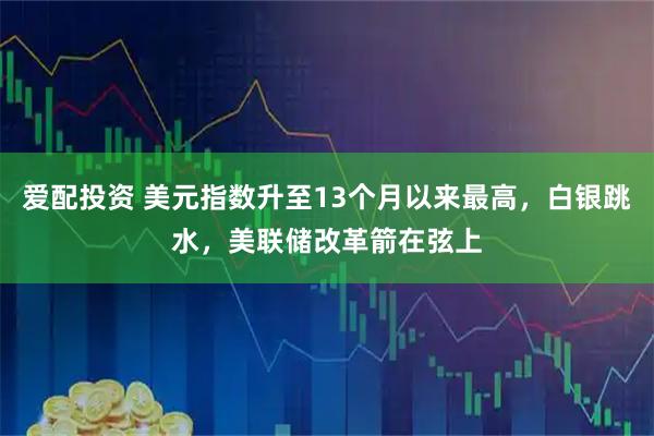 爱配投资 美元指数升至13个月以来最高，白银跳水，美联储改革箭在弦上