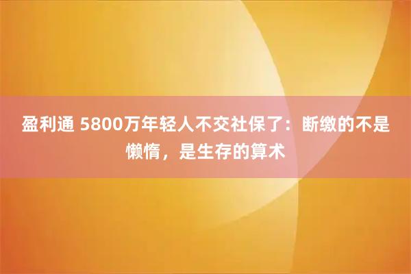 盈利通 5800万年轻人不交社保了：断缴的不是懒惰，是生存的算术